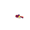 I love Tibet - heartbeat