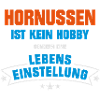 Hornussen Sportart