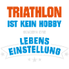 Triathlon Sportart