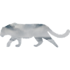 Schneeleopard