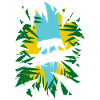 jungle