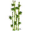 Simply Bamboo