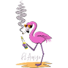 Flamingo Mexiko