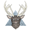 Deer cat