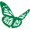papillon_vert