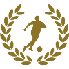 soccer football deluxe