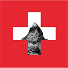Suisse Cervin Drapeau