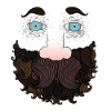 Beard guy
