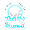 Volleyball - Therapy