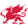 walesdragon one colour