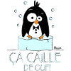 Manchot "Ça"Caille"