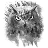 OWL black white