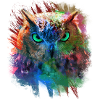 Hibou multi couleur