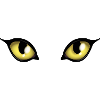 Katzenaugen