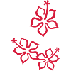 Hawai flowers