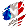 drapeau français france