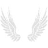 Angel wings