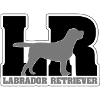 LABRADOR RETRIEVER LR