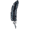 Crow feather