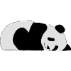 Schlafender Panda