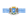 Bandera de Somalilandia Camisa - Somalia Somalia Bandera Alimentación Ciencia & S
