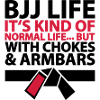 bjj life