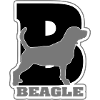 BEAGLE B