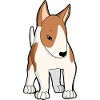 Bull terrier blanc