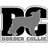 BORDER COLLIE BC