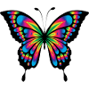 Schmetterling bunt