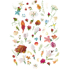 Flowers Liese