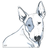 Bull Terrier