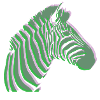 buntes Design Zebra