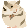 Hamster