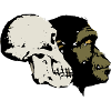 Evolution