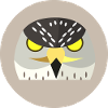 Hawk