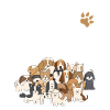 Dog Lovers Dog lovers