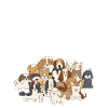 Dog love dog lover