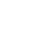 Cat and lion