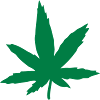 hemp