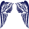 angel wings
