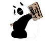 panda cool