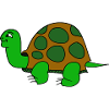 sea turtle tortoise schildkroete15