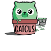 Catcus. Funny Kawaii Cat T-Shirt