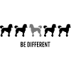 Poodle - Be Different