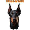 DOBERMAN