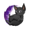 Kelpie Galaxie - Black