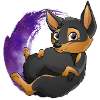 Kelpie Galaxie - Black Fire