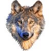 wolf wolfes wolves tribal136