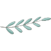 branch